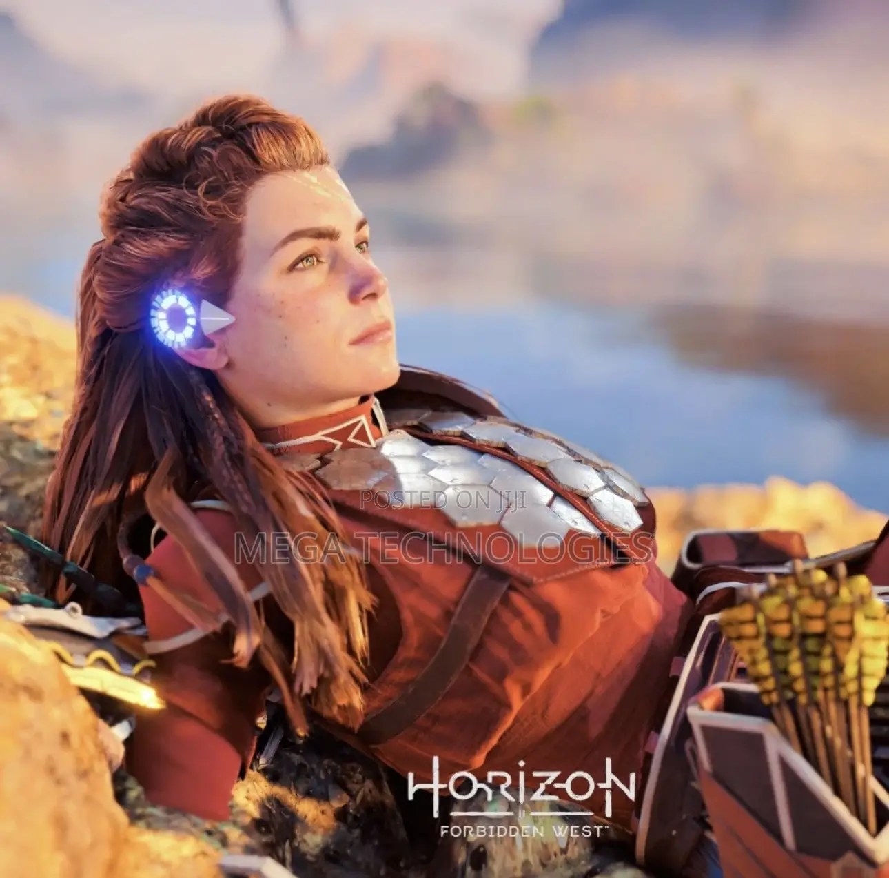 Horizon Zero Down and Forbidden West