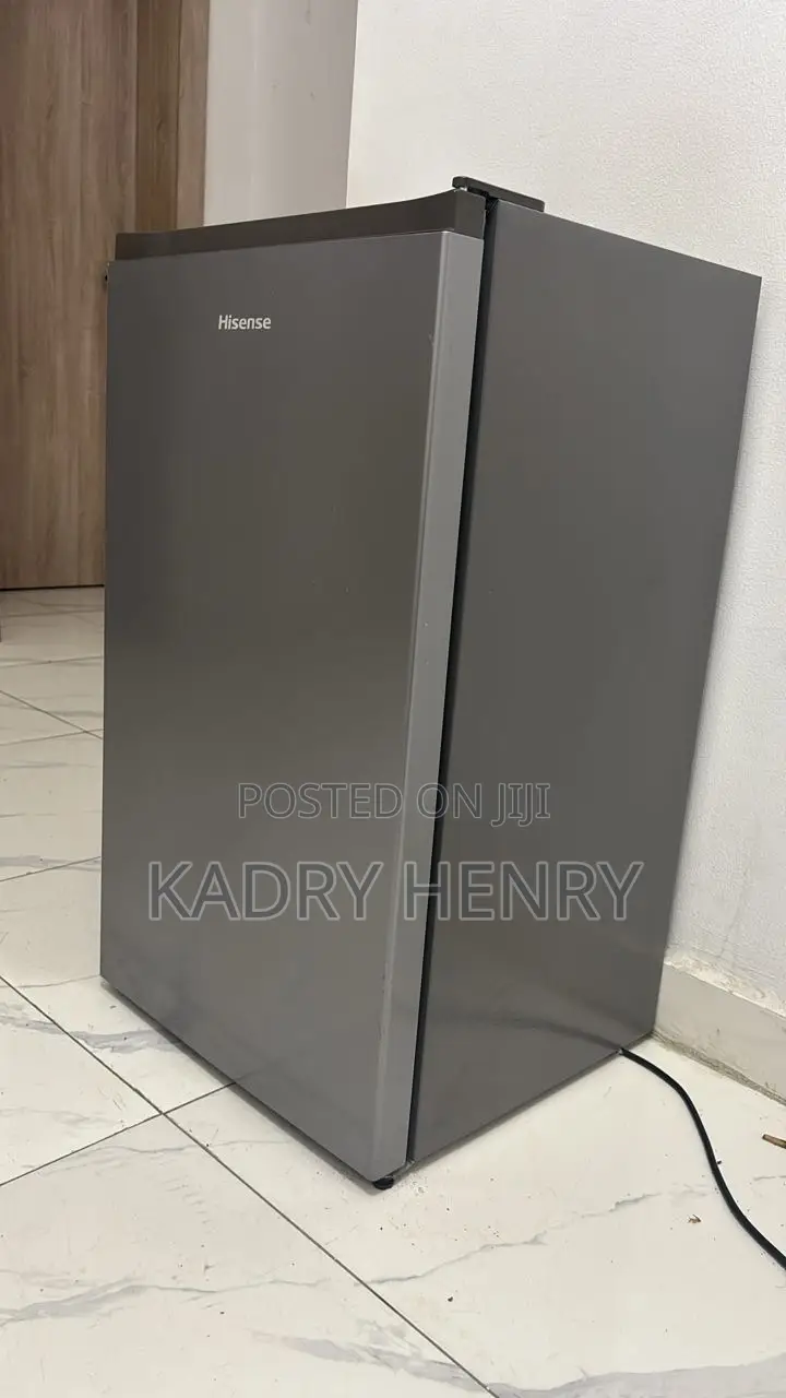 Standing Fridge