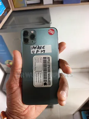 Apple iPhone 11 Pro Max 256 GB Gray