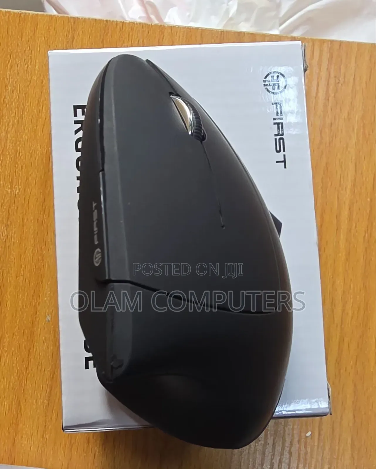 First Ergonomic Vertical Wireless Mouse