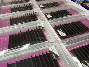 Eye Lash Extension