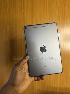 Apple iPad mini 5 256 GB Gray
