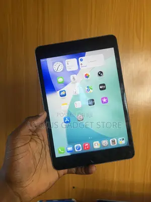 Apple iPad mini 5 256 GB Gray