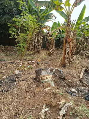 Full Plot of Land for Sale at Agbara Lusada Rd Ogun State