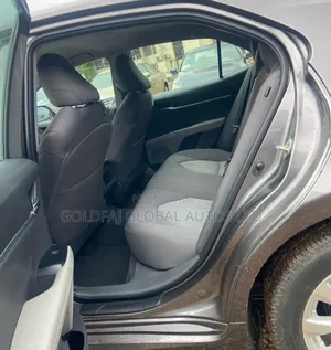 Toyota Camry LE (2.5L 4cyl 8A) 2019 Gray