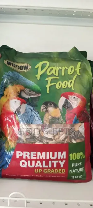 Parrots Food