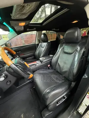 Lexus RX 2010 Black