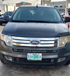 Ford Edge 2008 Gray