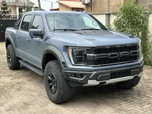 Ford F-150 Raptor 2023 Blue