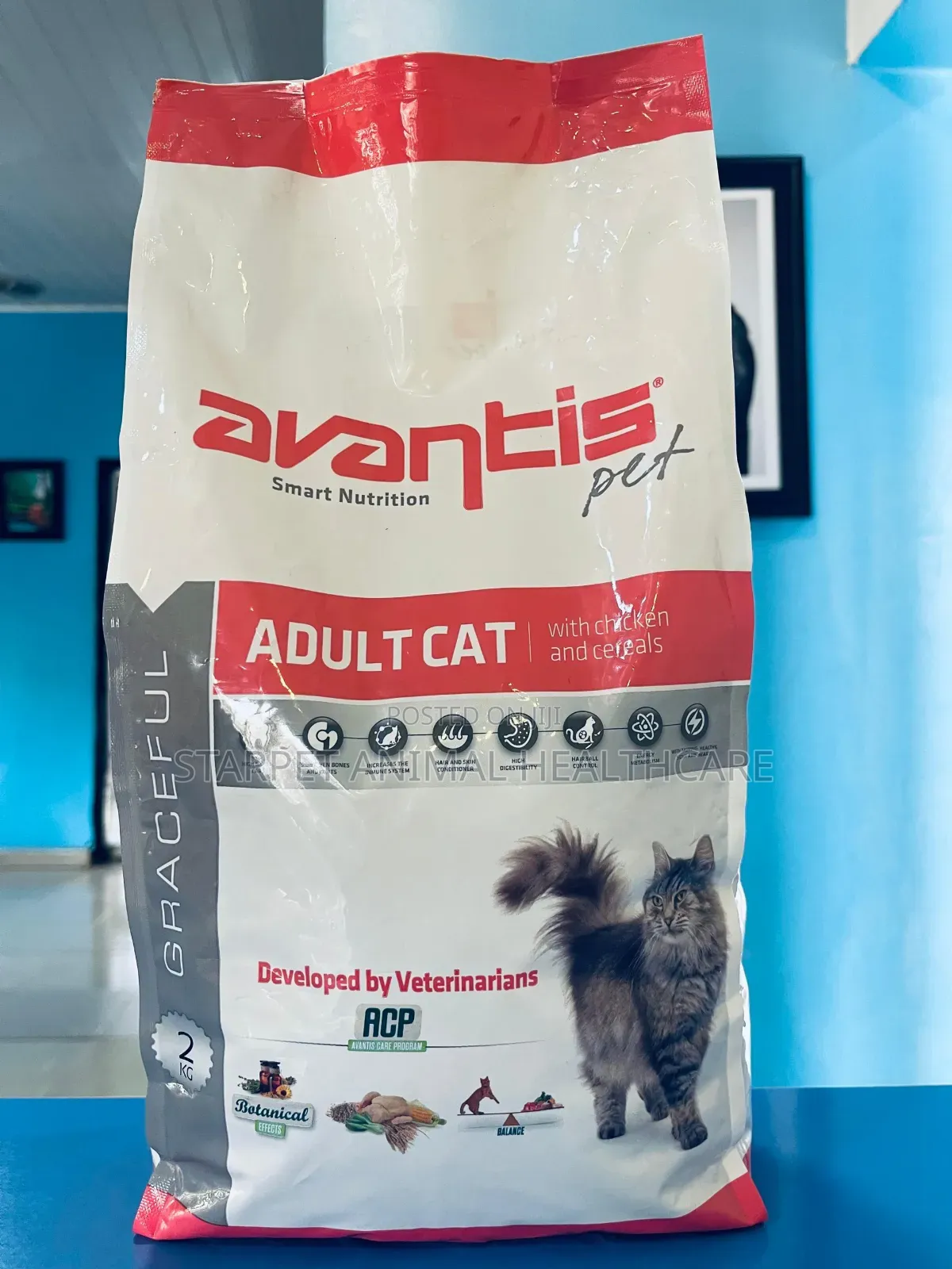 Cat Dry Food
