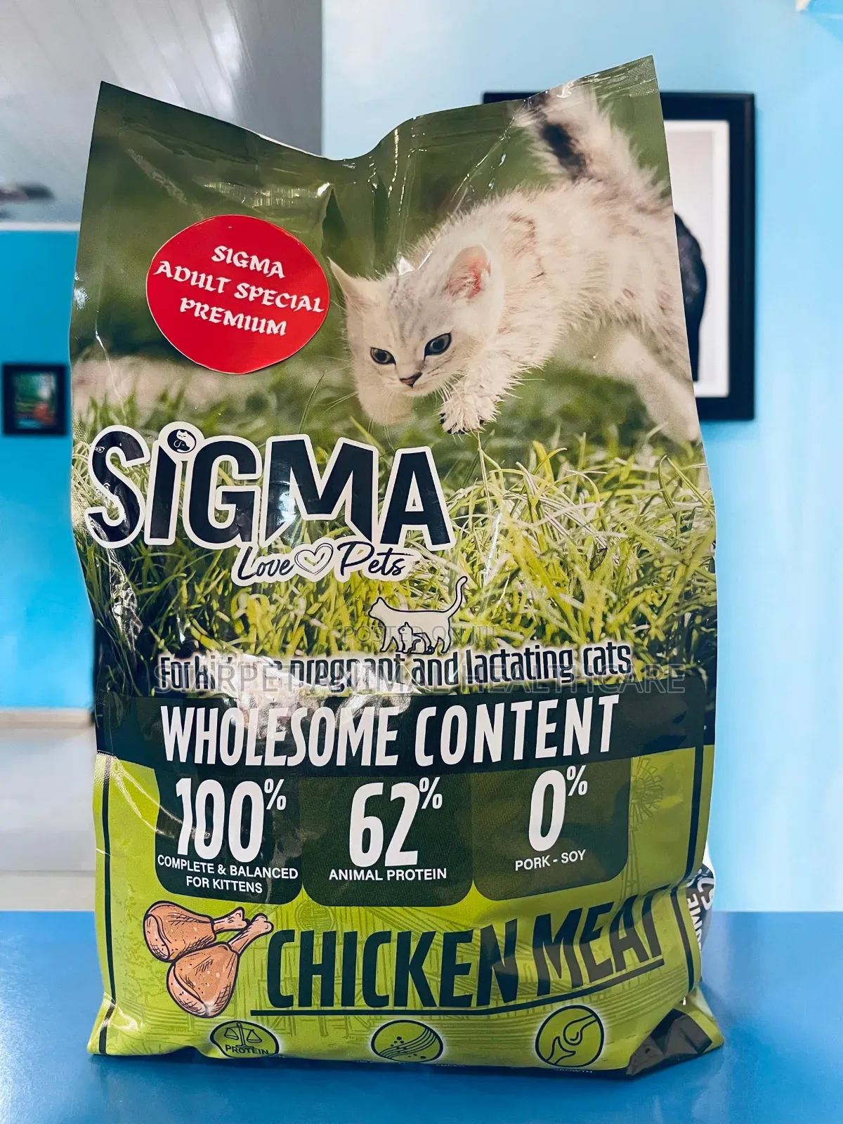 Cat Dry Food