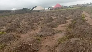 Land For Sell
