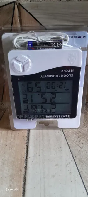 Fridge Thermometer