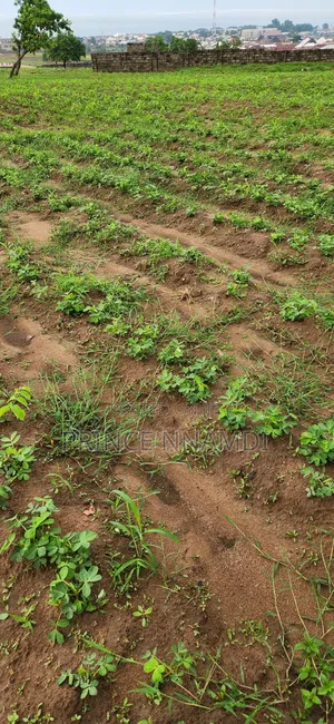 Prime Residential Land for Sale in Lifecamp