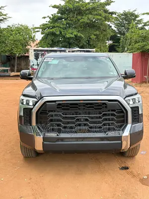 Toyota Tundra 2022 Gray