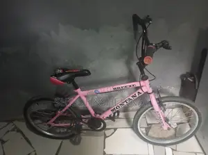 Bicycle/Bike