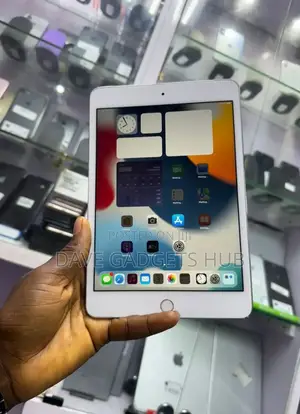 Apple iPad mini 4 16 GB Gray