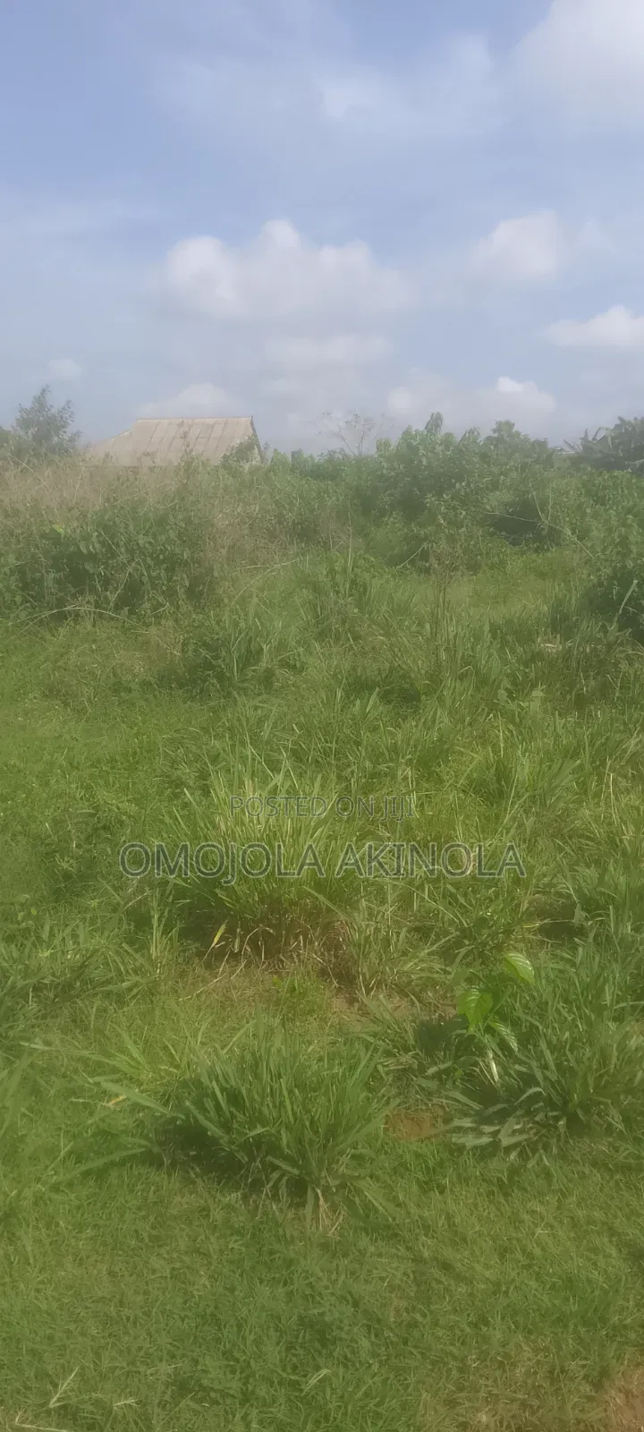 Half Plot Of Land
