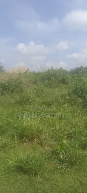 Half Plot Of Land