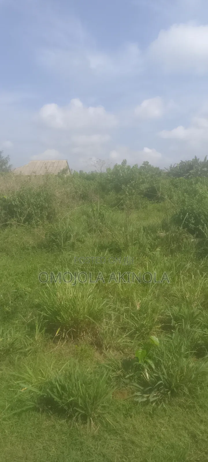 Half Plot Of Land