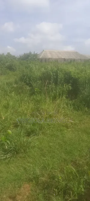 Half Plot Of Land