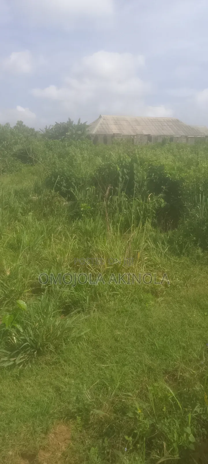 Half Plot Of Land