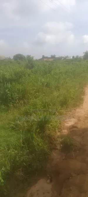 Half Plot Of Land
