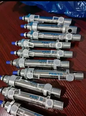Pneumatic Festo Cylinder Dsnu 20-40 Available