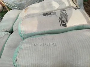 Corn Bran for Feed