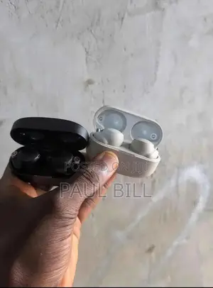 Sony 1000mx4 Premium Earbud