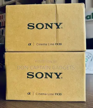 Sony Cinema Line Fx30