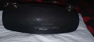 Zealot Speaker