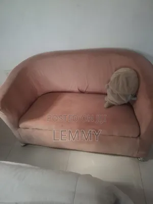 Pink 2-Seater Loveseat for Sale at Giveaway Price
