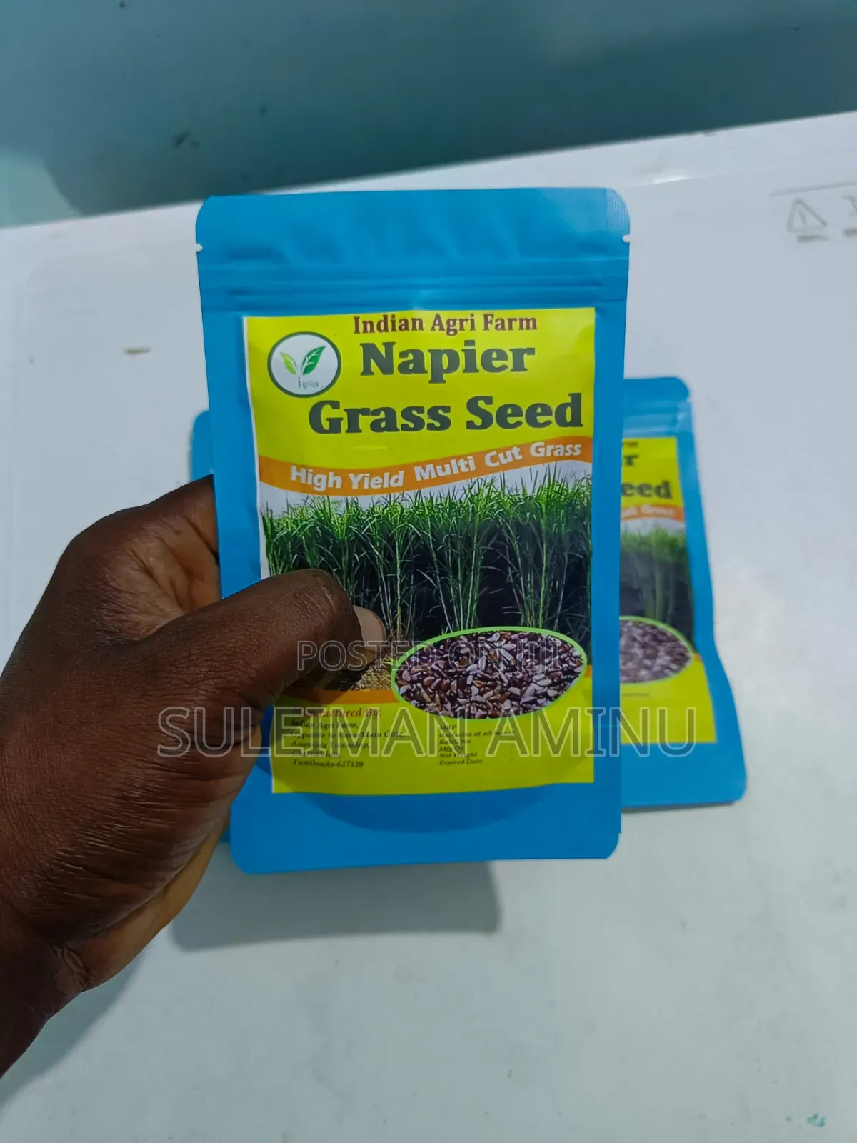 Super Napier Grass Seed