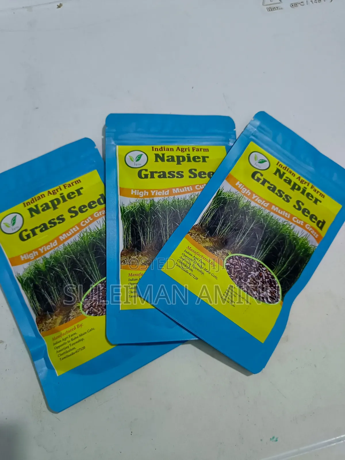 Super Napier Grass Seed
