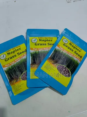 Super Napier Grass Seed