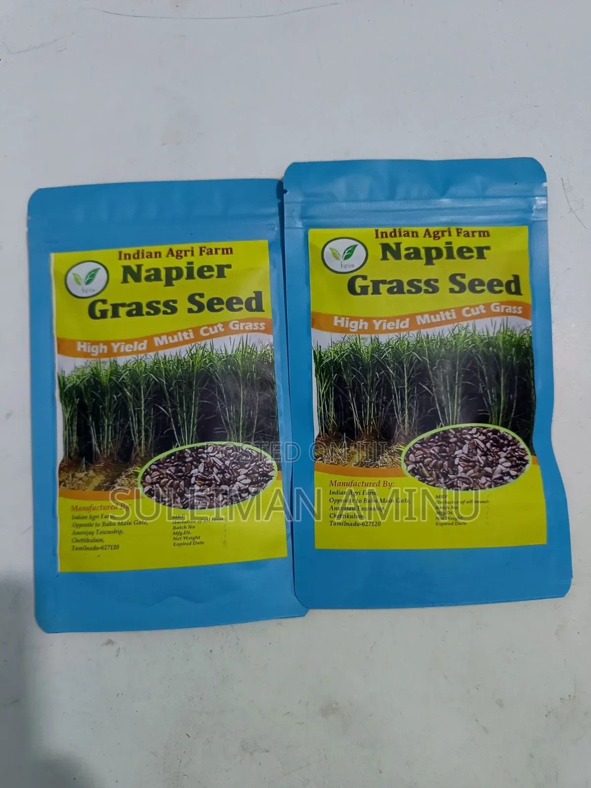 Super Napier Grass Seed