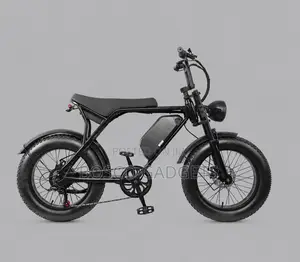 Off-Road Fat Tire Smart Electric Bicycle