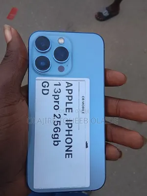 Apple iPhone 13 Pro 256 GB Gray