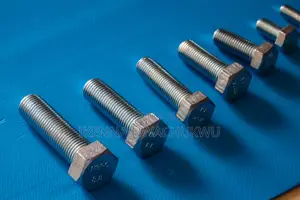 Stainless Steel Bolt