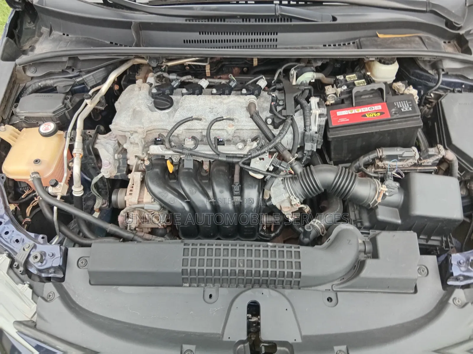Toyota Corolla LE 2020 Blue