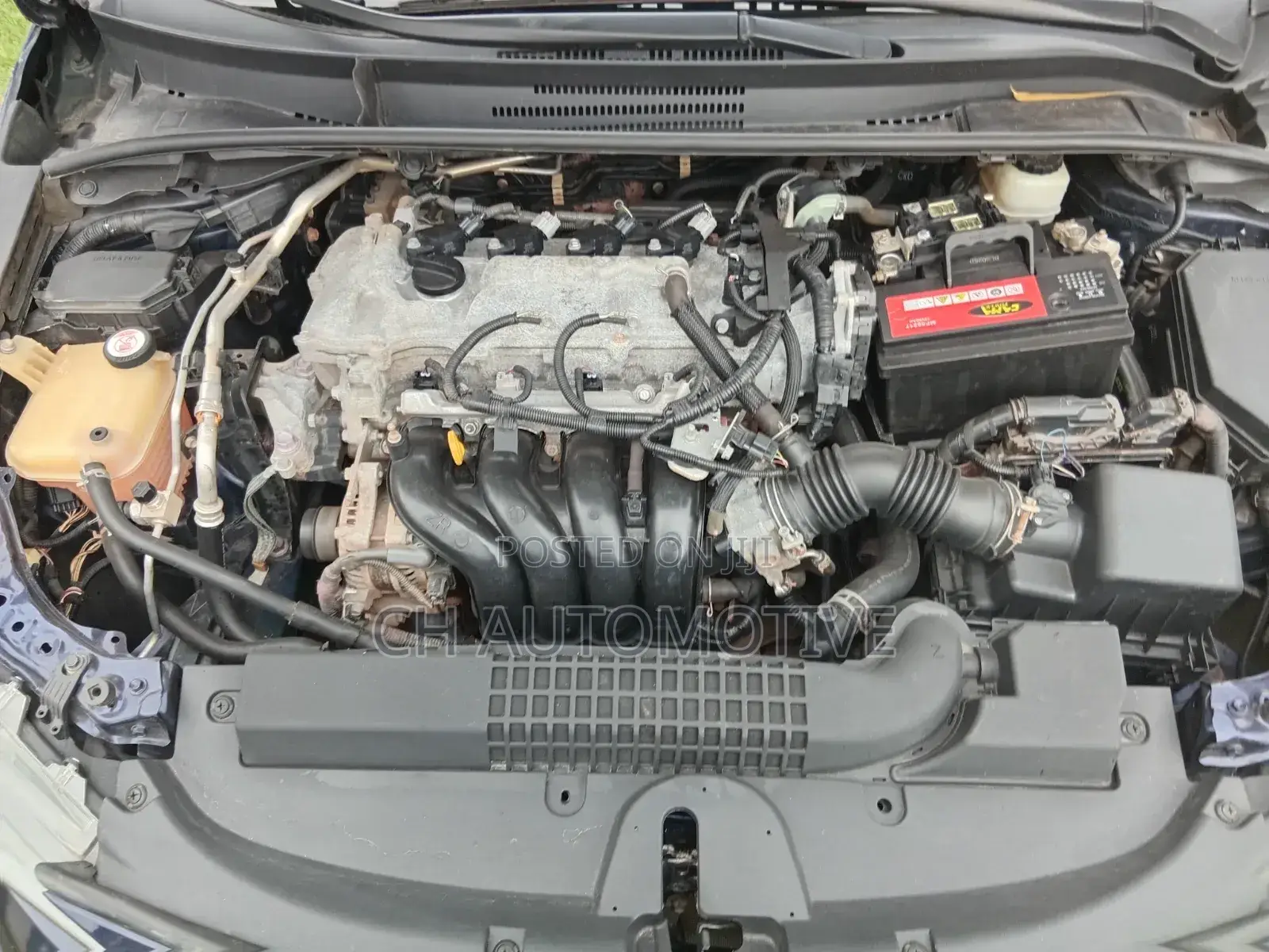 Toyota Corolla LE 2021 Blue