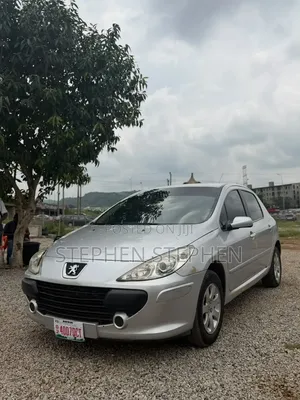 Peugeot 307 2.0 SW 2007 Silver
