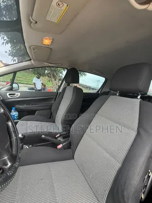 Peugeot 307 2.0 SW 2007 Silver