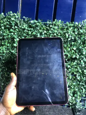 Apple iPad Wi-Fi 256 GB Pink