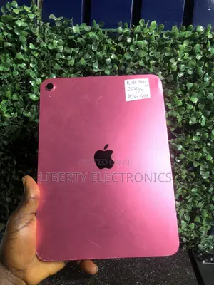 Apple iPad Wi-Fi 256 GB Pink