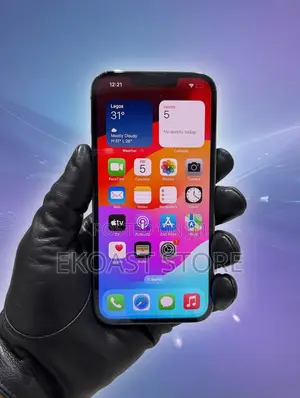 Apple iPhone 13 Pro 256 GB Gray