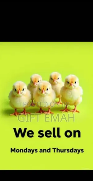 Hephzibah Agro