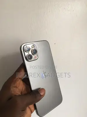Apple iPhone 12 Pro Max 128 GB Gray