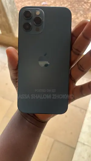 Apple iPhone 12 Pro Max 256 GB Blue